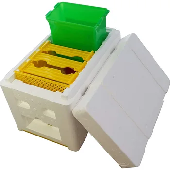 X18 Vairumtirdzniecības Jaunā Modeļa Mini Nucs Pilnīgu Mini Pārošanās bišu Strops ar Plastmasas Rāmjiem Noņemams Pakārtotā Biškopības Apputeksnēšanas Kaste