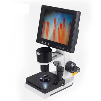 Elektronu Mikroskops/ Digitālo Mikroskopu Mikrocirkulāciju
